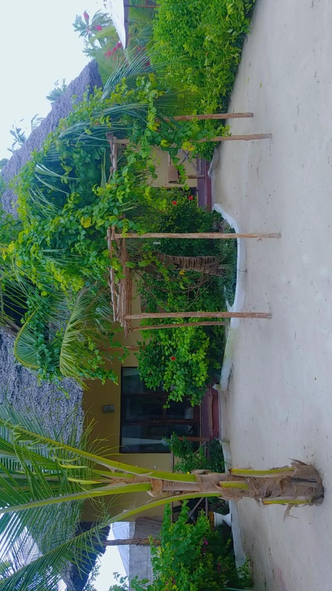 Amber Lodge Pongwe Esterno foto
